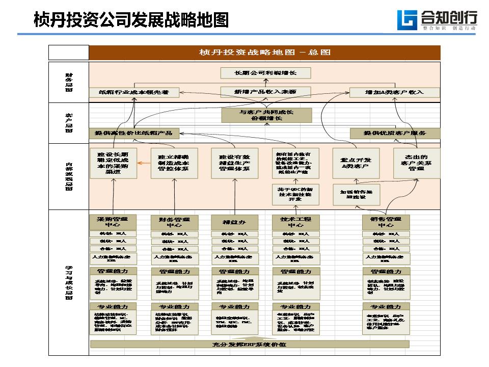 桢丹投资公司发展战略地图